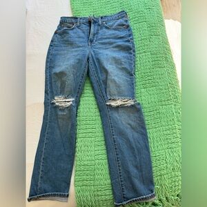 Madewell Perfect Vintage Crop Jean
